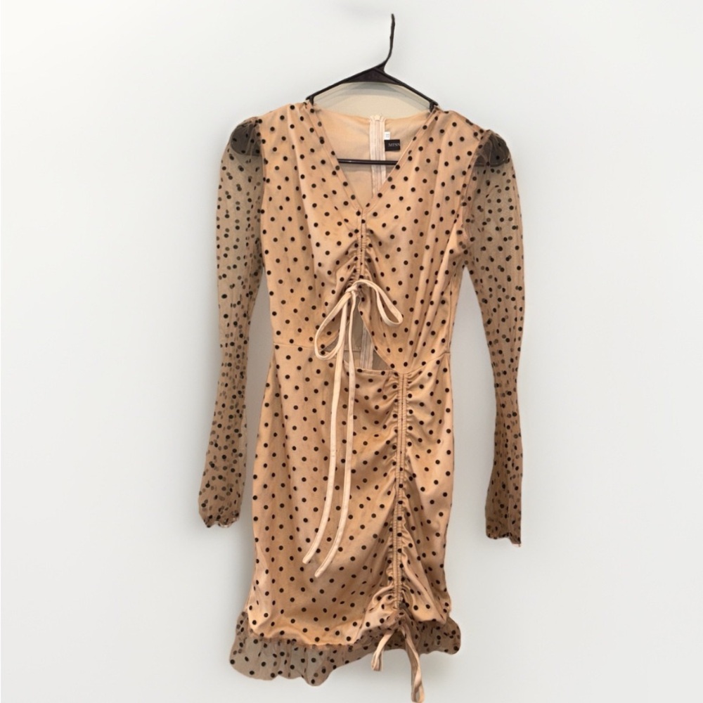 Beige Polka Dot Long Sleeve Sheer Dress